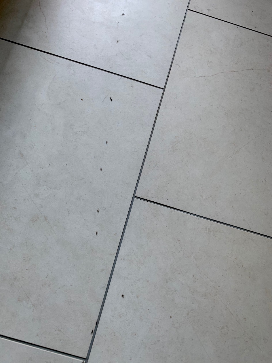 muurahaiset, muurahaismyrkky
