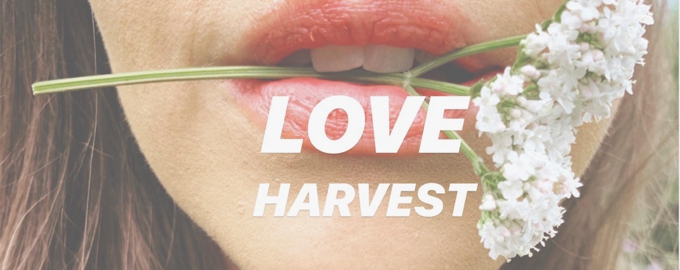 love harvest